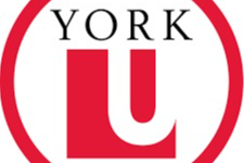 Participate in a Leading Study on Baby Development at York University